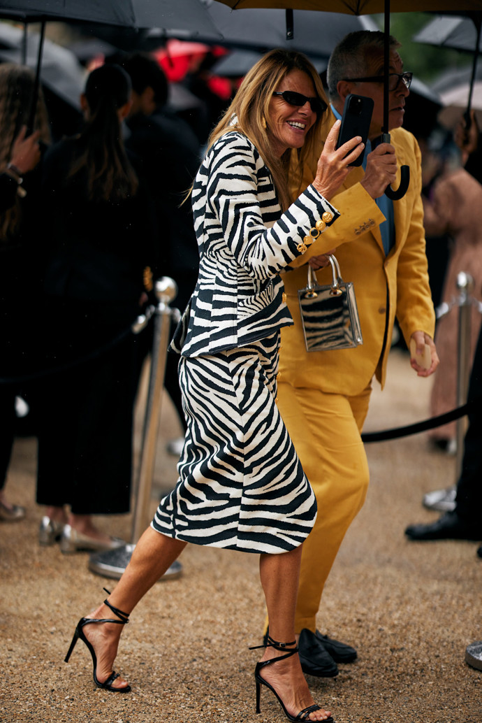 Zebra v Paříži
Zebra v Paříži