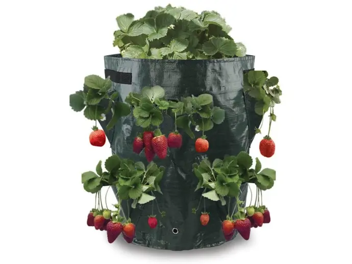 Pytel na pěstování jahod 34 x 45 cm, 125 Kč, gardentex.cz
