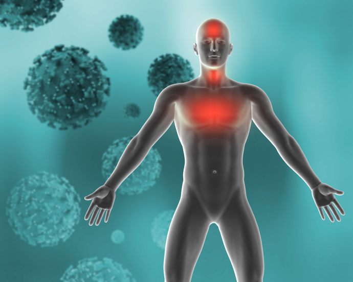Prevenci chronického (tichého) zánětu je vhodné řešit už od 30.–40. roku života. Ženy kolem perimenopauzy jsou zvlášť ohroženou skupinou – dochází ke ztrátě hormonální ochrany a zpomalení regenerace.
Prevenci chronického (tichého) zánětu je vhodné řešit už od 30.–40. roku života. Ženy kolem perimenopauzy jsou zvlášť ohroženou skupinou – dochází ke ztrátě hormonální ochrany a zpomalení regenerace.