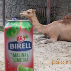 Relax s Birellem Relax s Birellem