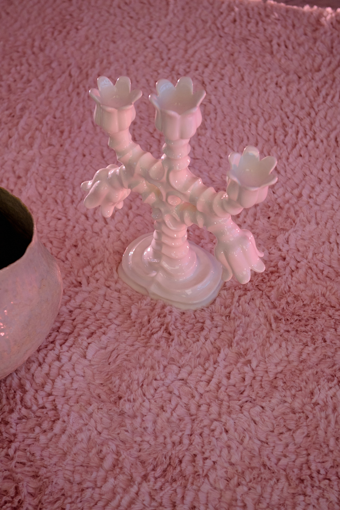 Výstava růžového porcelánu v Praze
Výstava růžového porcelánu v Praze