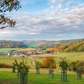 Vohančice – Komplex protierozních opatření a krajinářských úprav, autoři Zahradní a krajinářská tvorba
