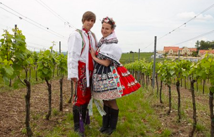 Anna v seriálu Vinaři
