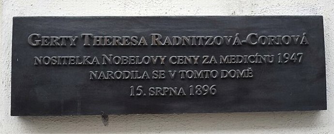 Gerty Cori si místo společenského života zvolila vědu a laboratorní práci, která ji naplňovala víc než tehdejší očekávání okolí. Její rozhodnutí bylo na svou dobu odvážné a nekompromisní.
