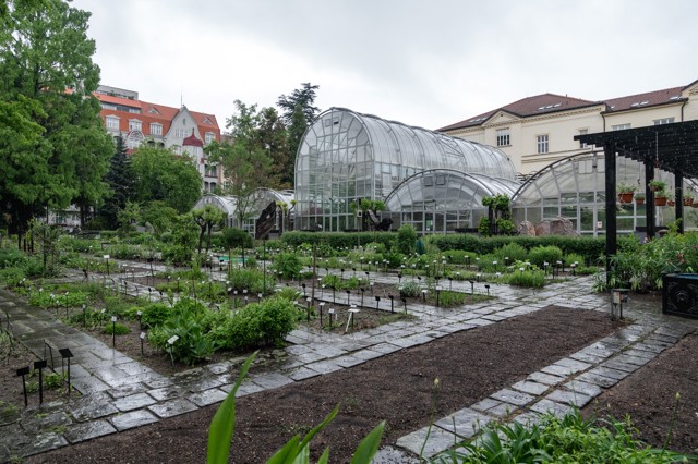 Botanická zahrada Botanická zahrada
