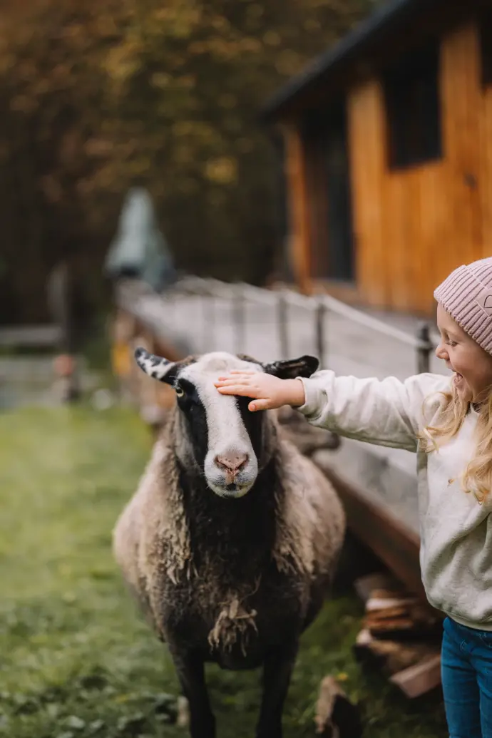 Glamping s ovečkami majitelé nazvali farmping.
