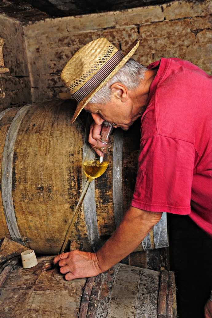 Jaroslav Osička ve svém sklepě
