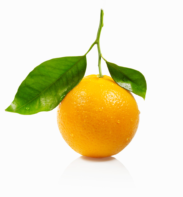 Jak vybrat ten správný svatební parfém?