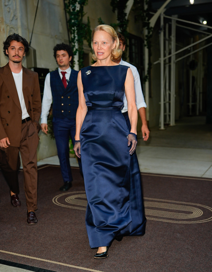 Pamela Anderson a její nová kariéra
Pamela Anderson a její nová kariéra
