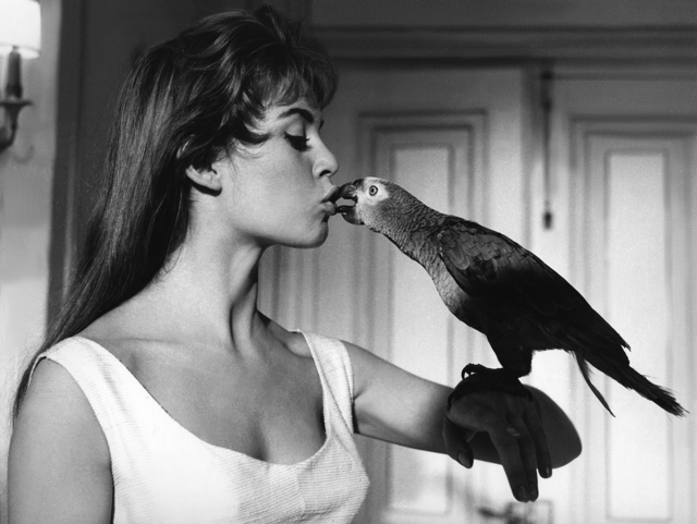 Brigitte Bardot ve filmu Zatracená holka (1956)
Brigitte Bardot ve filmu Zatracená holka (1956)