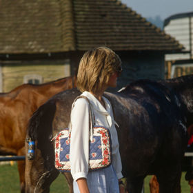 Bílá halenka, pruhované kalhoty a vzorovaná kabelka

Cowdray Park, 1983
