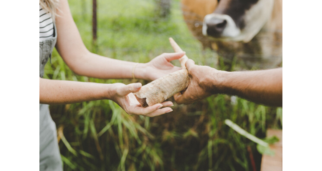 Biodynamika: Síla tradice s prvky budoucnosti Biodynamika: Síla tradice s prvky budoucnosti