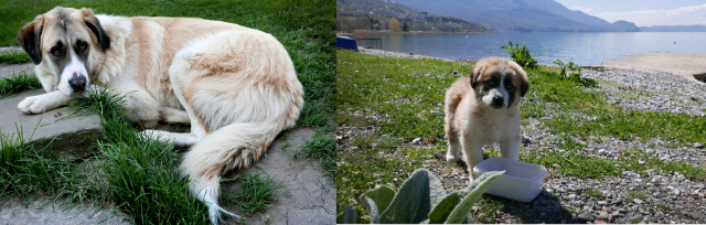 Když se z mateřské dovolené opravdu stane dovolená aneb Tři měsíce na Balkáně s ročním dítětem Když se z mateřské dovolené opravdu stane dovolená aneb Tři měsíce na Balkáně s ročním dítětem