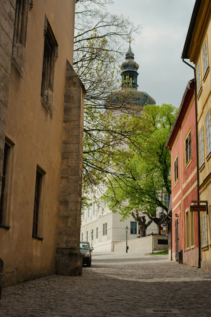 Krásné malebné a upravené uličky vás dovedou ke všem památkám.
Krásné malebné a upravené uličky vás dovedou ke všem památkám.
