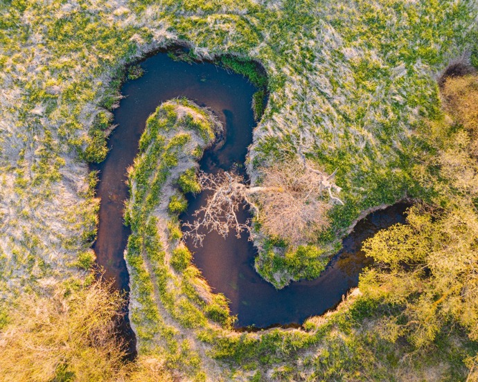 Přírodní rezervace Meandry Svratky patří k těm místům, kde se cítíte jako v jiném čase.
Přírodní rezervace Meandry Svratky patří k těm místům, kde se cítíte jako v jiném čase.