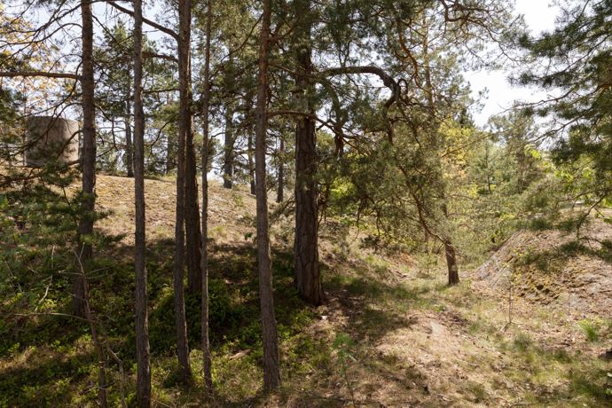 Galerie: Švédská tajemná vila