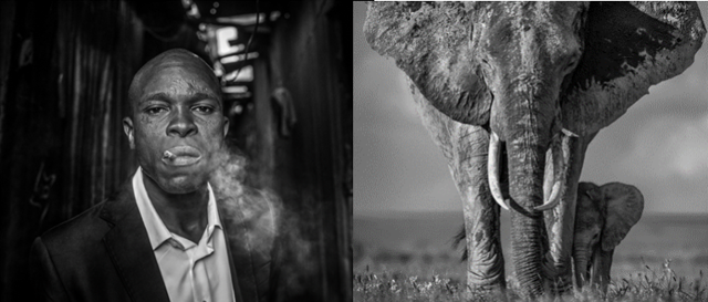 Umělecký fotograf David Yarrow zachycuje zvířata i lidi v africké Keni