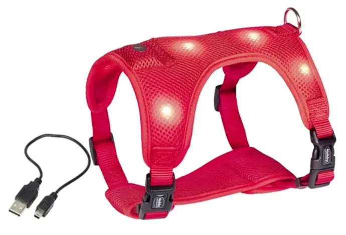 Nobby Flash Mesh LED svíticí postroj červený vel. S, 669 Kč
Nobby Flash Mesh LED svíticí postroj červený vel. S, 669 Kč