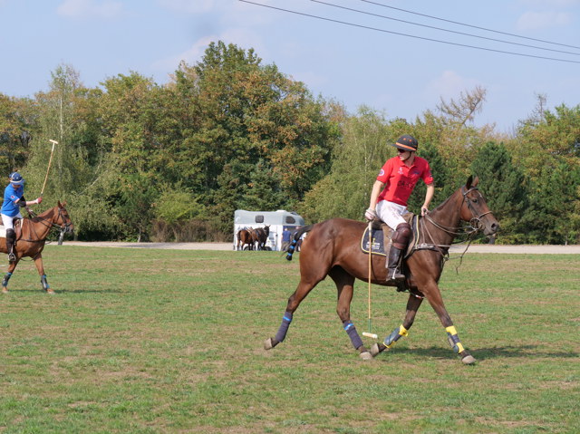 Sport pro aristokraty: Nina Popová chce naučit Čechy koňské pólo Sport pro aristokraty: Nina Popová chce naučit Čechy koňské pólo