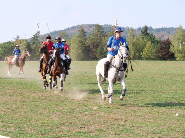 Sport pro aristokraty: Nina Popová chce naučit Čechy koňské pólo Sport pro aristokraty: Nina Popová chce naučit Čechy koňské pólo