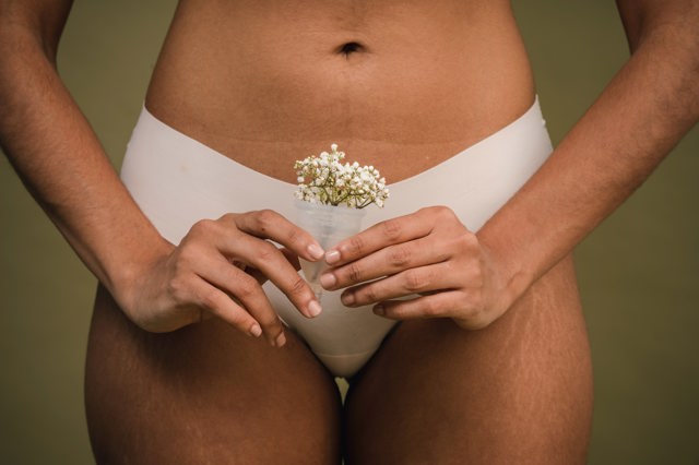 Menstruace Menstruace