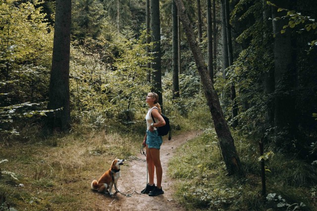 šumava