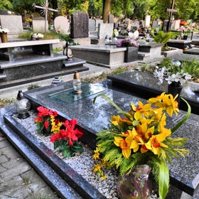 Orchideje mají květy, které mohou kvést po dlouhou dobu, což může symbolizovat věčný život nebo nekonečnou památku na zemřelého.
Orchideje mají květy, které mohou kvést po dlouhou dobu, což může symbolizovat věčný život nebo nekonečnou památku na zemřelého.
