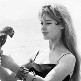 Brigitte Bardot Brigitte Bardot