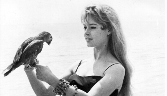 Brigitte Bardot Brigitte Bardot