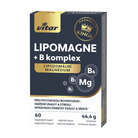 Lipomagne, Naše vitaminy.cz, 389 Kč (doplněk stravy)
Hořčík, který se k vám opravdu dostane
Fyzická i duševní rovnováha začíná uvnitř. Hořčík patří mezi klíčové minerály, které tělo potřebuje každý den. Ovlivňuje naši energii, soustředění i kvalitní spánek. Vitar Kings Lipomagne + B komplex přichází s chytrým řešením: lipozomální formou hořčíku, která zajistí vysokou vstřebatelnost a využitelnost. Obohacený o vitaminy B1, B2 a B6 je ideálním společníkem v náročném období, při stresu nebo zvýšené fyzické aktivitě.
www.nasevitaminy.cz
Lipomagne, Naše vitaminy.cz, 389 Kč (doplněk stravy)
Hořčík, který se k vám opravdu dostane
Fyzická i duševní rovnováha začíná uvnitř. Hořčík patří mezi klíčové minerály, které tělo potřebuje každý den. Ovlivňuje naši energii, soustředění i kvalitní spánek. Vitar Kings Lipomagne + B komplex přichází s chytrým řešením: lipozomální formou hořčíku, která zajistí vysokou vstřebatelnost a využitelnost. Obohacený o vitaminy B1, B2 a B6 je ideálním společníkem v náročném období, při stresu nebo zvýšené fyzické aktivitě.
www.nasevitaminy.cz