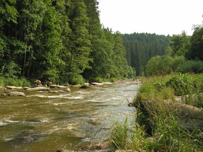 Stvořidla
