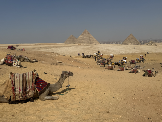 Na velbloudech se můžete svést až k pyramidám. Cesta trvá asi hodinu a koupíte ji za 1000 egyptských lir, což je zhruba 400 Kč.
Na velbloudech se můžete svést až k pyramidám. Cesta trvá asi hodinu a koupíte ji za 1000 egyptských lir, což je zhruba 400 Kč.