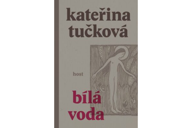 Kniha Kniha