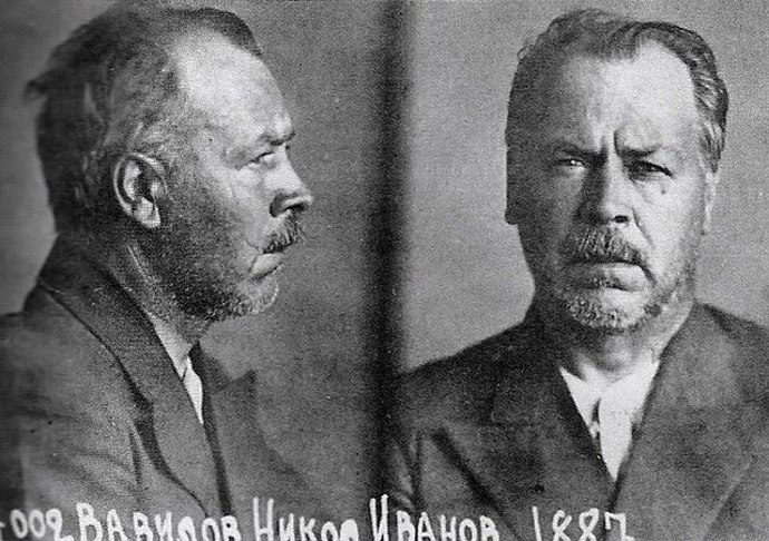 Vavilov byl neúnavný cestovatel a sběratel semen z celého světa. Každá expedice pro něj znamenala další krok k pochopení původu plodin.
Vavilov byl neúnavný cestovatel a sběratel semen z celého světa. Každá expedice pro něj znamenala další krok k pochopení původu plodin.