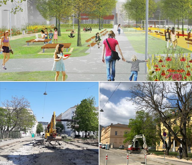 Městské tepelné ostrovy: Klimatický problém, se kterým bojuje Vídeň i Rotterdam