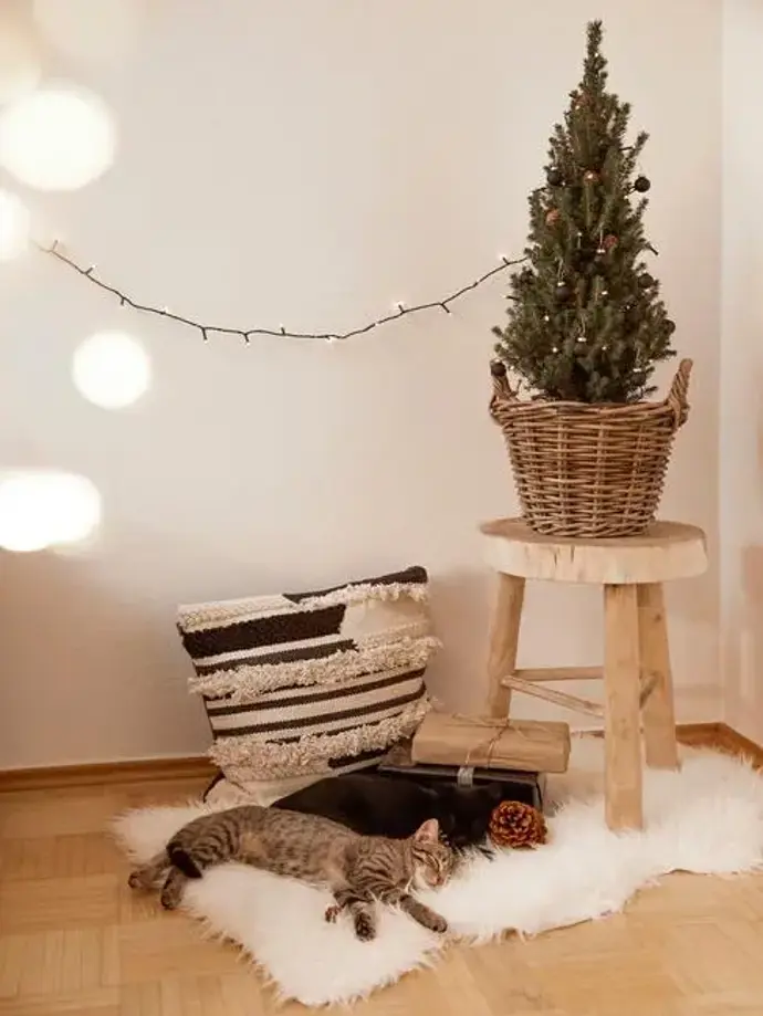 Pokud vybíráte stromek na balkon nebo terasu, skvěle se hodí i stromek v květináči. Ten můžete po svátcích vysadit do zahrady a každoročně si tak připomenout své Vánoce.
Pokud vybíráte stromek na balkon nebo terasu, skvěle se hodí i stromek v květináči. Ten můžete po svátcích vysadit do zahrady a každoročně si tak připomenout své Vánoce.