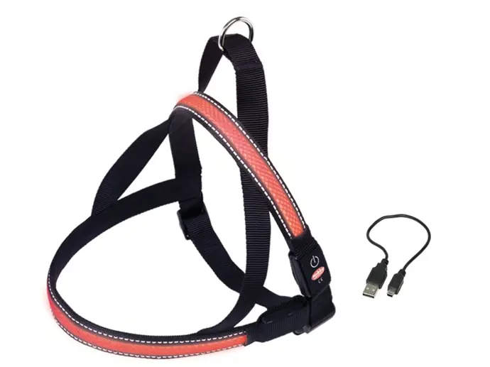 Nobby Flash Mesh svítící postroj, 349 Kč
Nobby Flash Mesh svítící postroj, 349 Kč