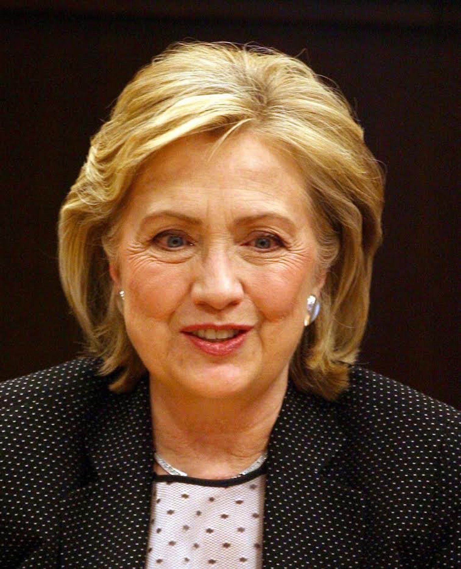 Galerie: Petr Macinka čelí za střet s Hillary Clinton kritice. Ostuda ...