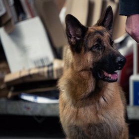 Diesel hraje většinu scén sám.