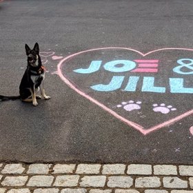 Jednoho z nich, právě Majora, se Bidenovi ujali a nakonec jej adoptovali.