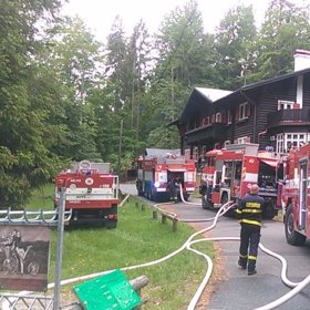 Příčinou zřejmě není sucho.