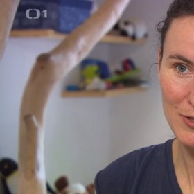 Promluvila s některými predátory a dozvěděla se, že mnohdy ani neuvažují racionálně.