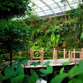 Přestože některé pavilony jsou rozlehlé, musí v nich lidé nosit roušky.