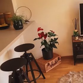 Pod televizí nechybí malá knihovnička.