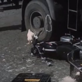 Soukupovi se také zabil kamarád na motorce. Smutnou událost zanesl i do scénáře.