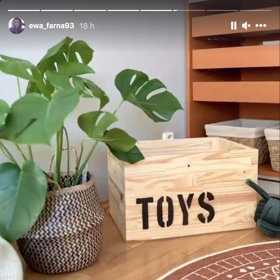 Interiér pracovny zahrnuje řadu rostlin.