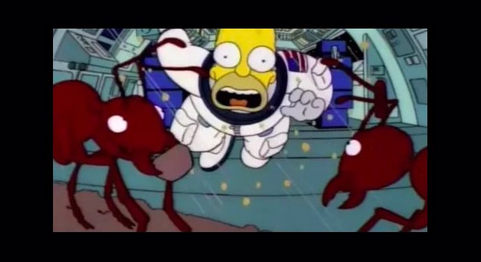 Homer ve vesmíru.