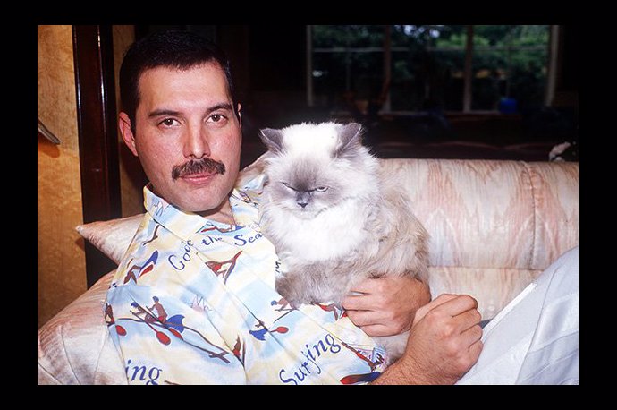 Freddie Mercury se svou kočkou.