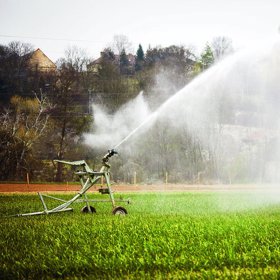 HEZKY ČESKY: 10.díl: Cibulkové jaro po celý rok