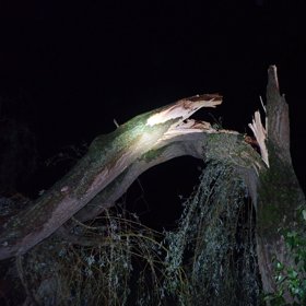 Musely mít pořádnou sílu.